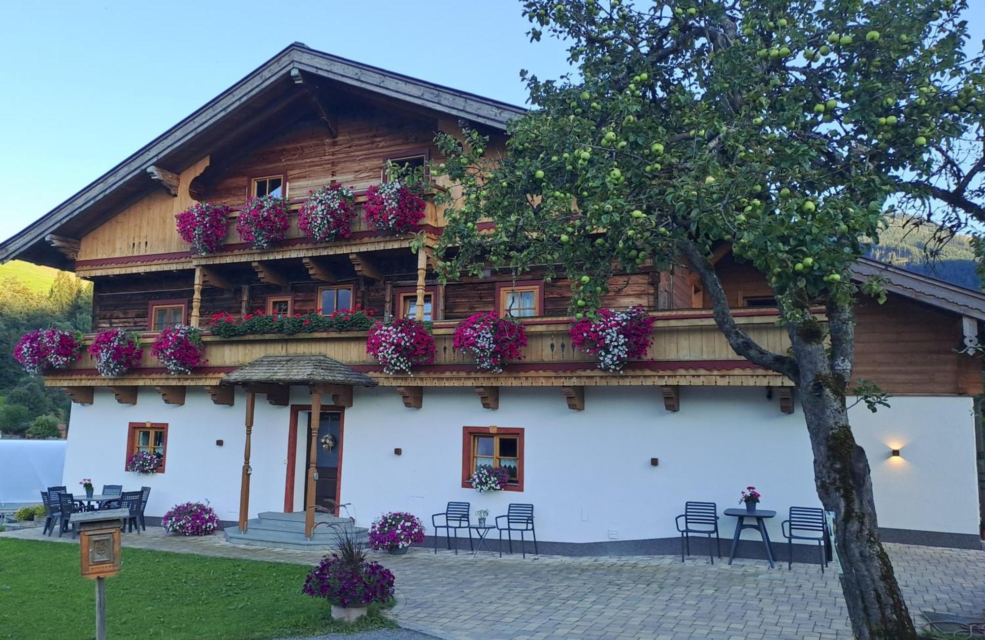 Ferienwohnung Steinernes Meer Мариа-Альм Экстерьер фото